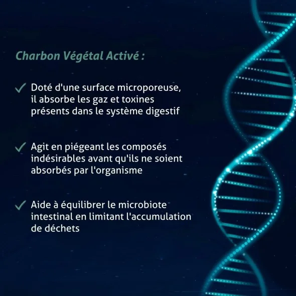 Blanche Bresson - Charbon Végétal activé bio - Les mécanismes d'action Blanche Bresson - Charbon Végétal activé bio - Les mécanismes d'action