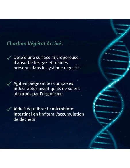 Blanche Bresson - Charbon Végétal activé bio - Les mécanismes d'action Blanche Bresson - Charbon Végétal activé bio - Les mécanismes d'action