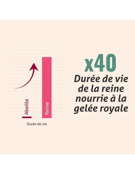 Blanche Bresson - Gelée Royale Bio pot- L'efficacité