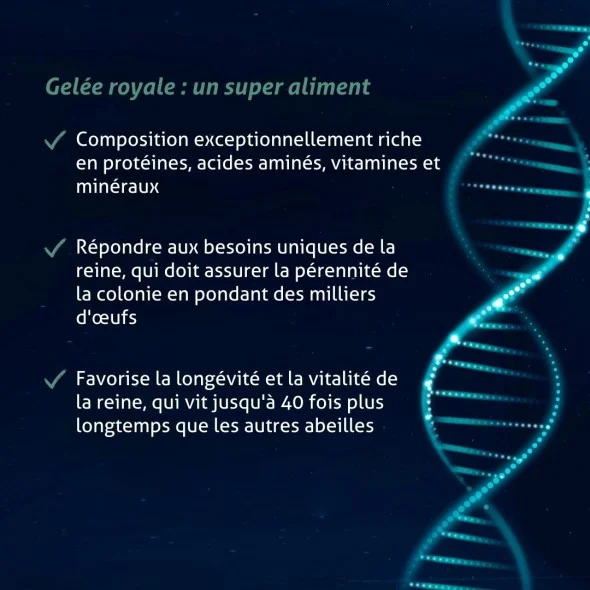 Blanche Bresson - Gelée Royale Ginseng - Les mécanismes d'action