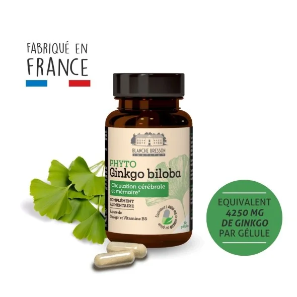 Blanche Bresson - Phyto Ginkgo biloba - Pack ingrédients Blanche Bresson - Phyto Ginkgo biloba - Pack ingrédients