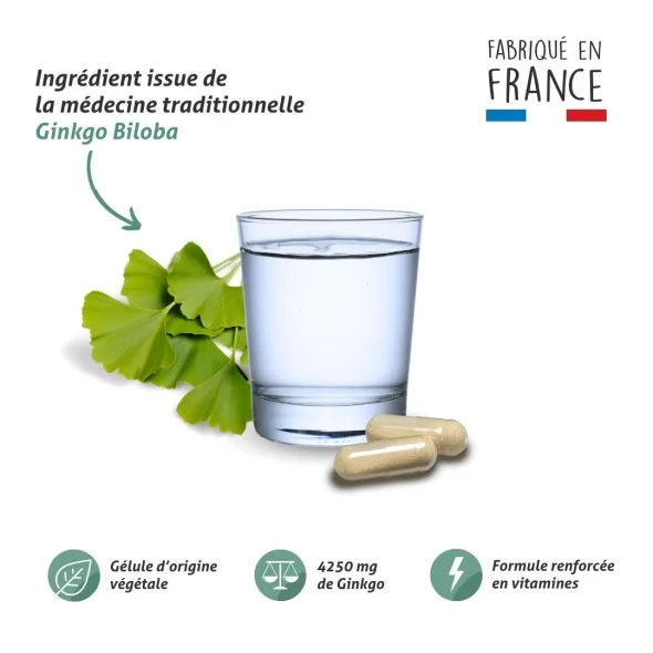 Blanche Bresson - Phyto Ginkgo biloba - La formule Blanche Bresson - Phyto Ginkgo biloba - La formule