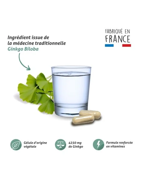Blanche Bresson - Phyto Ginkgo biloba - La formule Blanche Bresson - Phyto Ginkgo biloba - La formule