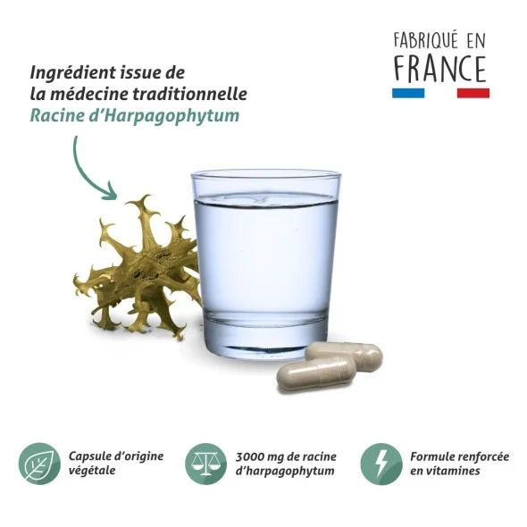 Blanche Bresson - Phyto Harpagophytum Plus - La formule