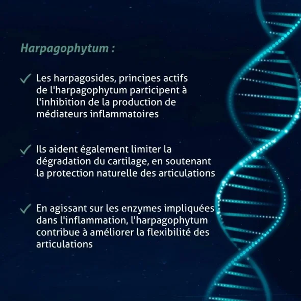 Blanche Bresson - Phyto Harpagophytum Plus - Les mécanismes d'action