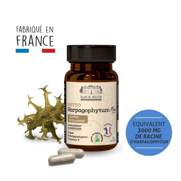 Blanche Bresson - Phyto Harpagophytum Plus - Pack ingrédients