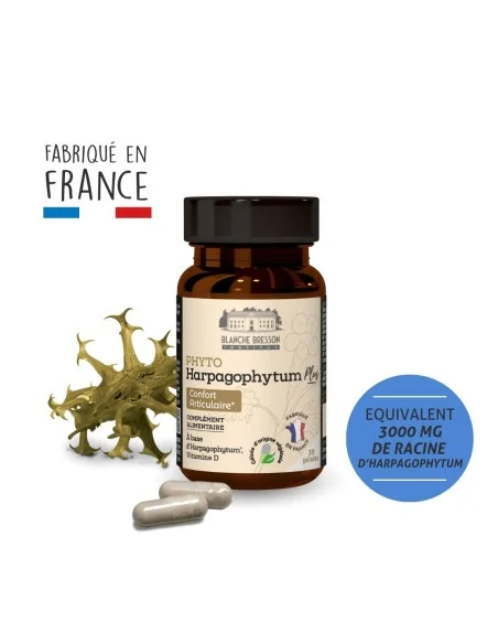 Blanche Bresson - Phyto Harpagophytum Plus - Pack ingrédients