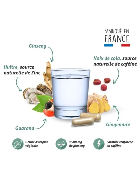 Blanche Bresson - Phyto Homme Plus - La formule