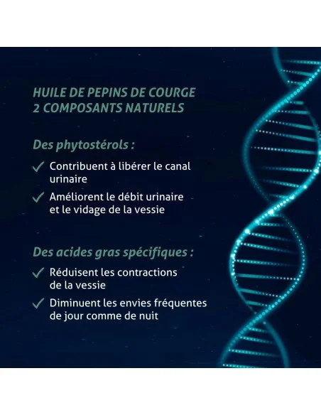 Blanche Bresson - Phyto Huile de pépins de courge Bio - Les mécanismes d'action