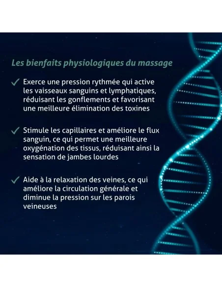 Blanche Bresson - Phyto Jambes légères - Les mécanismes d'action