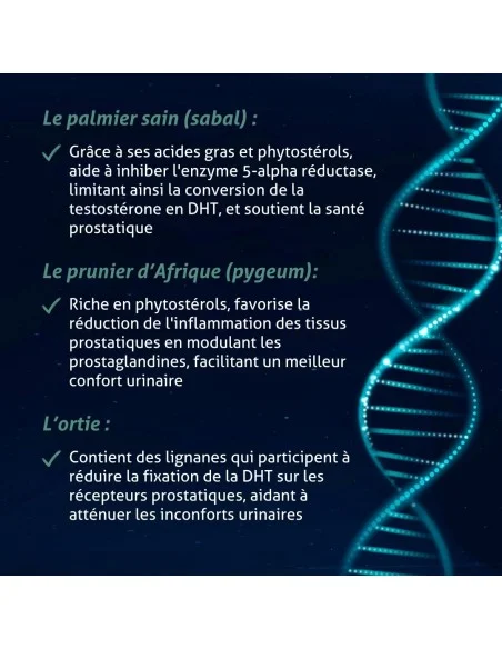 Phyto Prosta 5 Plus®