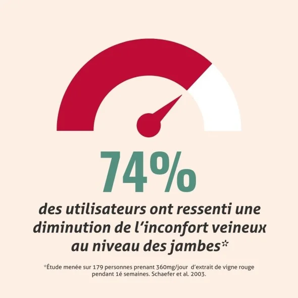 Blanche Bresson - Phyto Vigne rouge Gélules - L'efficacité