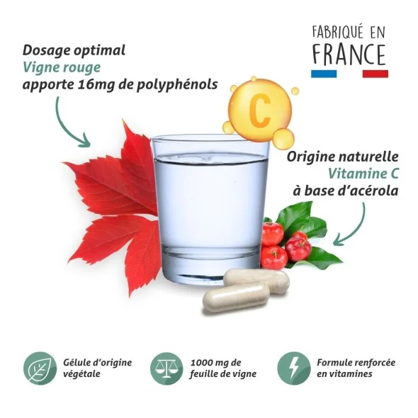 Blanche Bresson - Phyto Vigne rouge Gélules - La formule