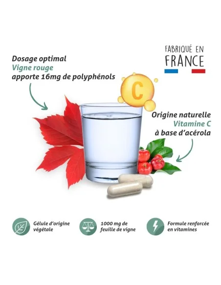 Blanche Bresson - Phyto Vigne rouge Gélules - La formule