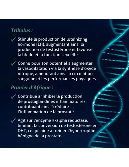 Blanche Bresson - Phyto Viriprosta ® - Les mécanismes d'action Blanche Bresson - Phyto Viriprosta ® - Les mécanismes d'action