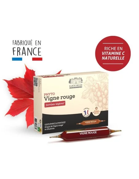Blanche Bresson - Phyto Vigne rouge Ampoules - Pack ingrédients