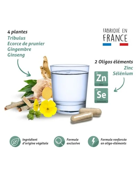 Blanche Bresson - Phyto Viriprosta ® - La formule Blanche Bresson - Phyto Viriprosta ® - La formule