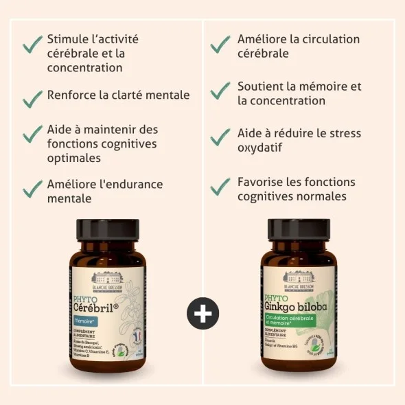 Blanche Bresson - Programme Mémoire Plus - Les actions