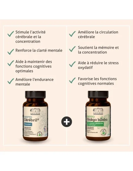 Blanche Bresson - Programme Mémoire Plus - Les actions