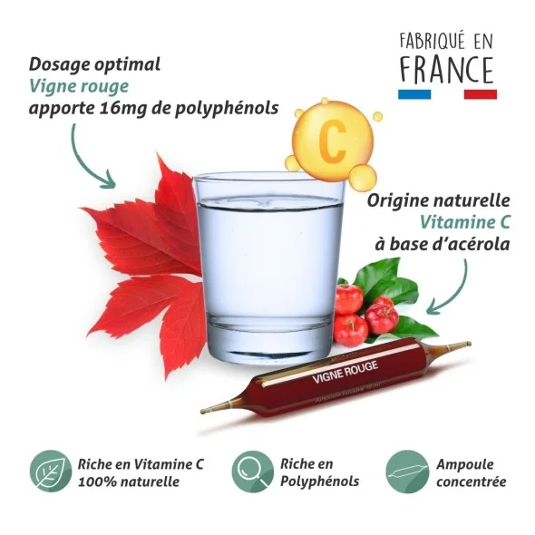 Blanche Bresson - Phyto Vigne rouge Ampoules - La formule