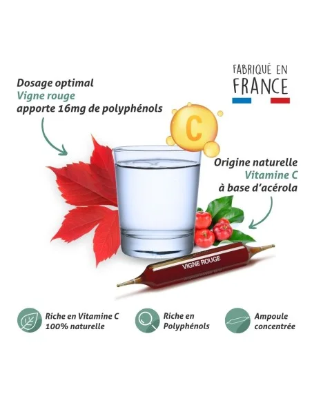 Blanche Bresson - Phyto Vigne rouge Ampoules - La formule