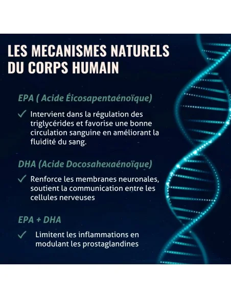 Huile de Krill - Les mécanismes d'action