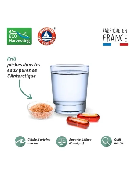 Huile de Krill - La formule