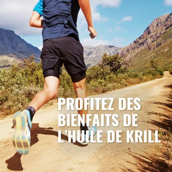 Huile de Krill - Les bénéfices