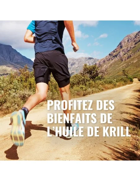 Huile de Krill - Les bénéfices