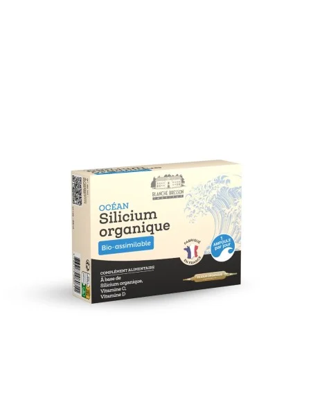 Blanche Bresson - Océan Silicium Organique Blanche Bresson - Océan Silicium Organique