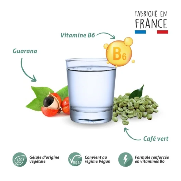 Blanche Bresson - Phyto Brûleur de Graisse - La formule