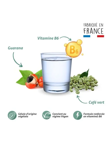 Blanche Bresson - Phyto Brûleur de Graisse - La formule