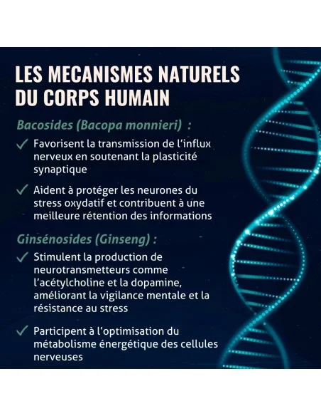 Blanche Bresson - Phyto Cérébril - Les mécanismes d'action