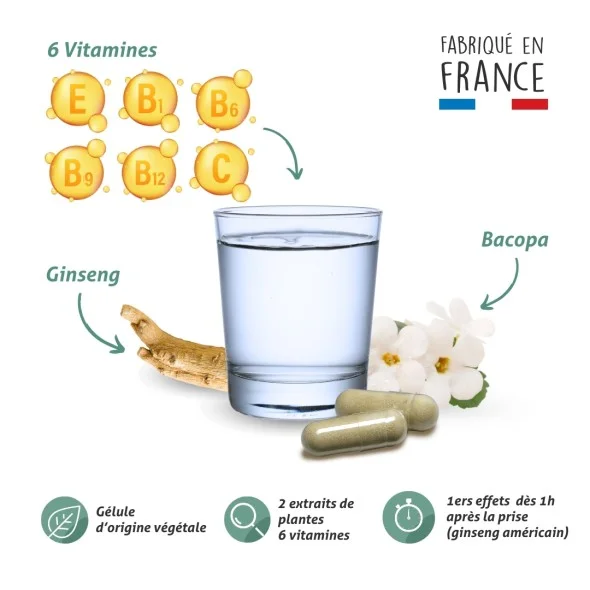 Blanche Bresson - Phyto Cérébril - La formule