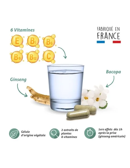 Blanche Bresson - Phyto Cérébril - La formule