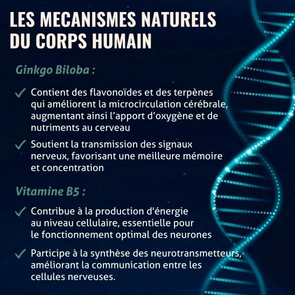 Blanche Bresson - Phyto Ginkgo biloba - Les mécanismes d'action Blanche Bresson - Phyto Ginkgo biloba - Les mécanismes d'action