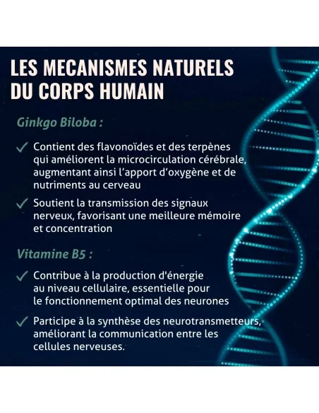 Blanche Bresson - Phyto Ginkgo biloba - Les mécanismes d'action Blanche Bresson - Phyto Ginkgo biloba - Les mécanismes d'action
