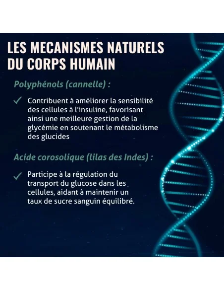 Blanche Bresson - Phyto Glucose - Les mécanismes d'action Blanche Bresson - Phyto Glucose - Les mécanismes d'action