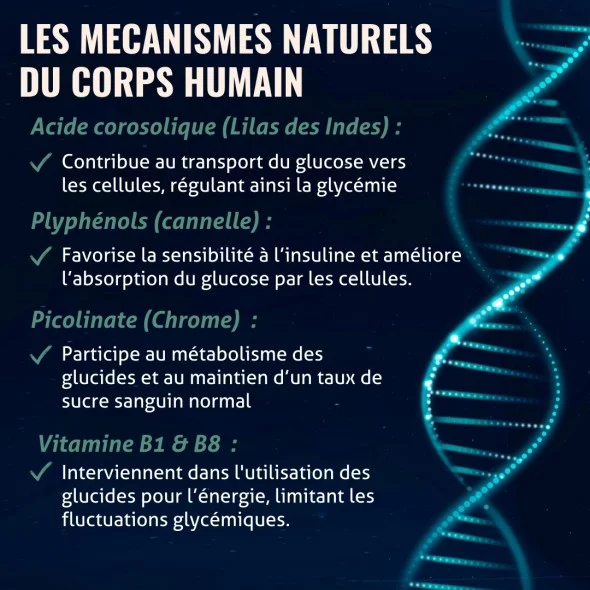 Blanche Bresson - Phyto Insuregul Plus - Les mécanismes d'action