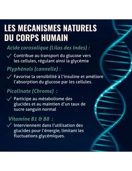 Blanche Bresson - Phyto Insuregul Plus - Les mécanismes d'action