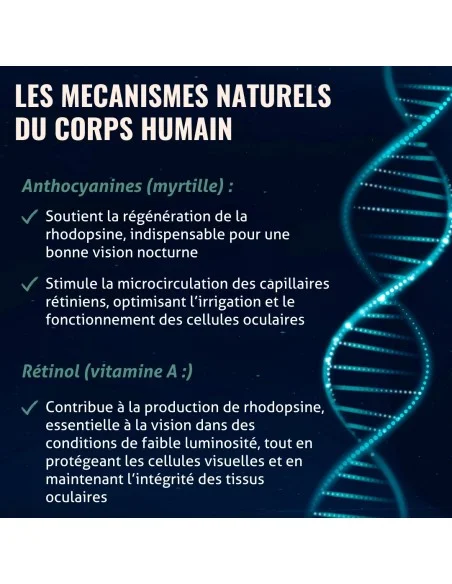 Blanche Bresson - Phyto Myrtille - Les mécanismes d'action Blanche Bresson - Phyto Myrtille - Les mécanismes d'action