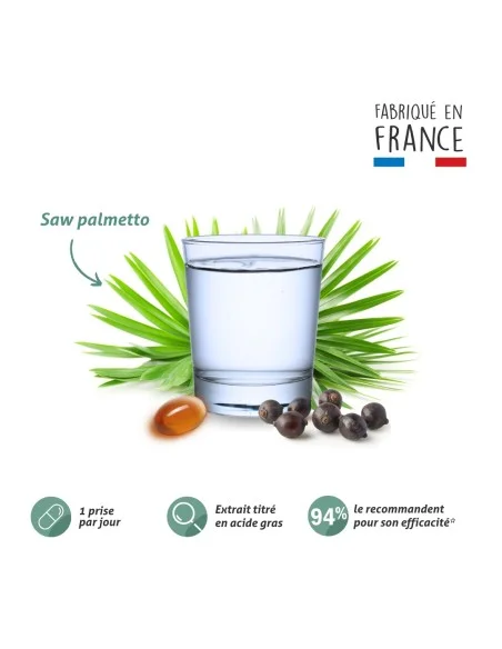 Blanche Bresson - Phyto Saw Palmetto - la formule Blanche Bresson - Phyto Saw Palmetto - la formule