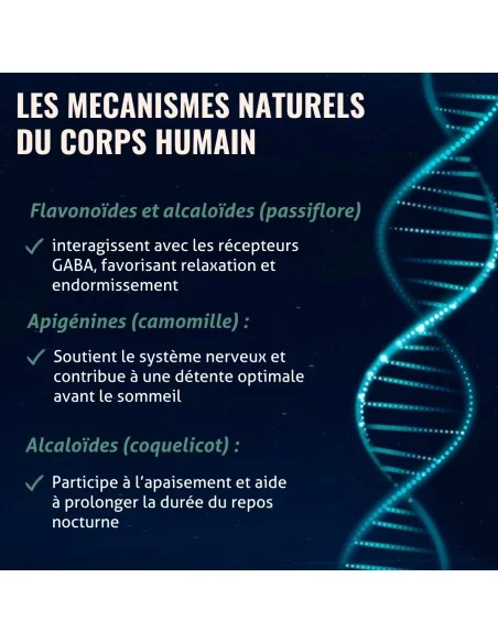 Blanche Bresson - Phyto Sommeil Facile - Les mécanismes d'action