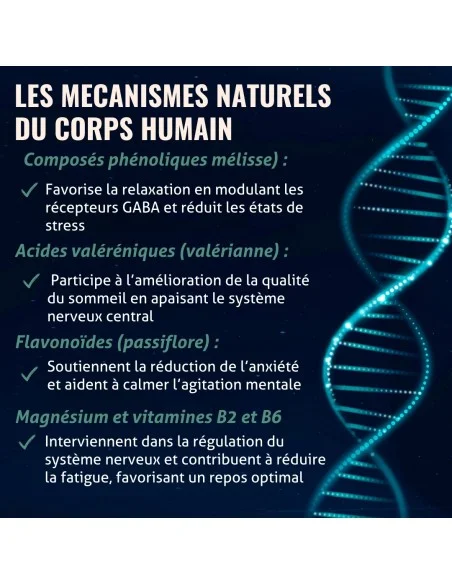 Blanche Bresson - Phyto Sommeil Réparateur - Les mécanismes d'action Blanche Bresson - Phyto Sommeil Réparateur - Les mécanismes d'action