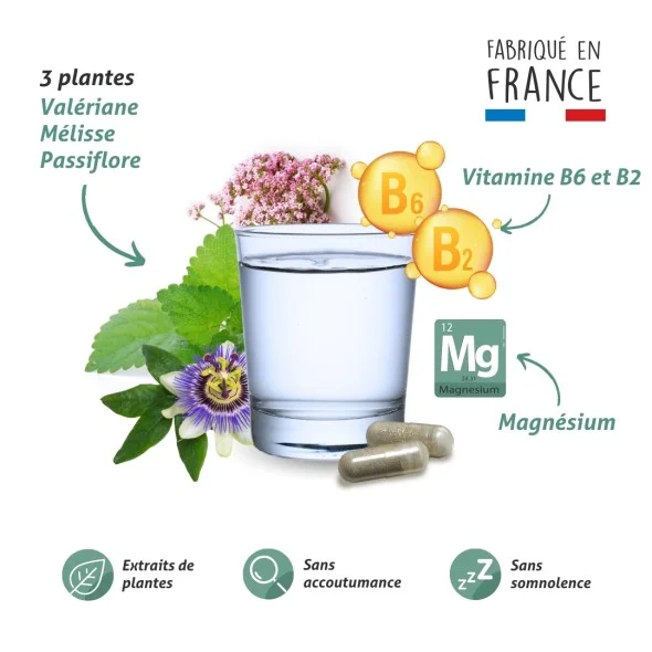 Blanche Bresson - Phyto Sommeil Réparateur - La formule Blanche Bresson - Phyto Sommeil Réparateur - La formule