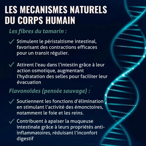Blanche Bresson - Phyto Transit Facile - Les mécanismes d'action Blanche Bresson - Phyto Transit Facile - Les mécanismes d'action