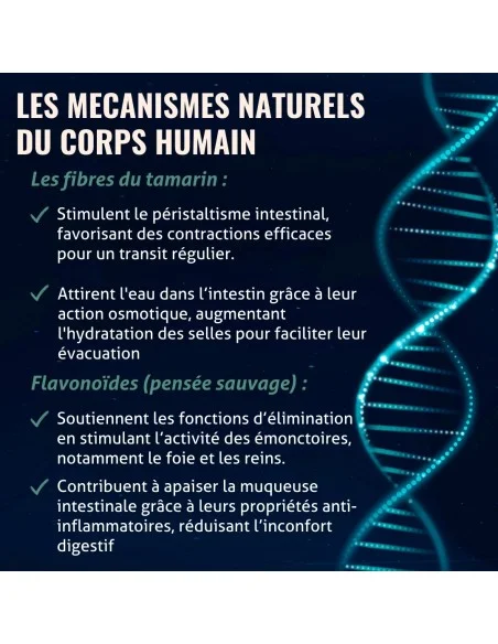 Blanche Bresson - Phyto Transit Facile - Les mécanismes d'action Blanche Bresson - Phyto Transit Facile - Les mécanismes d'action