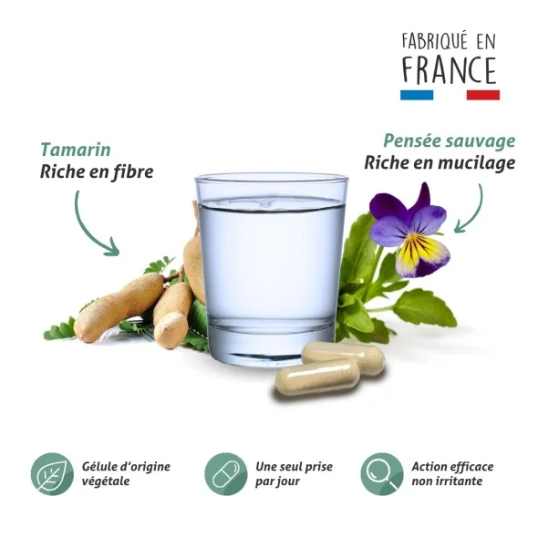 Blanche Bresson - Phyto Transit Facile - La formule Blanche Bresson - Phyto Transit Facile - La formule
