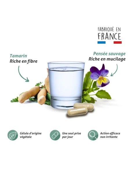 Blanche Bresson - Phyto Transit Facile - La formule Blanche Bresson - Phyto Transit Facile - La formule