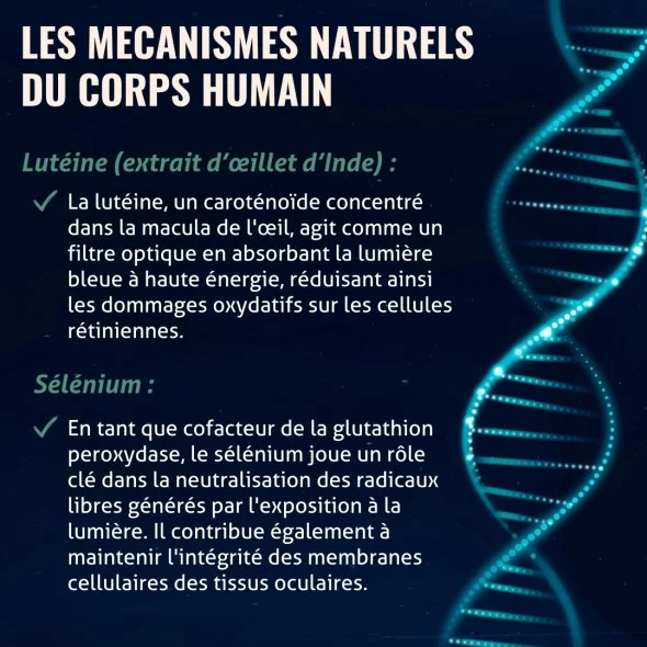 Blanche Bresson - Phyto Vision Plus - Les mécanismes d'action Blanche Bresson - Phyto Vision Plus - Les mécanismes d'action